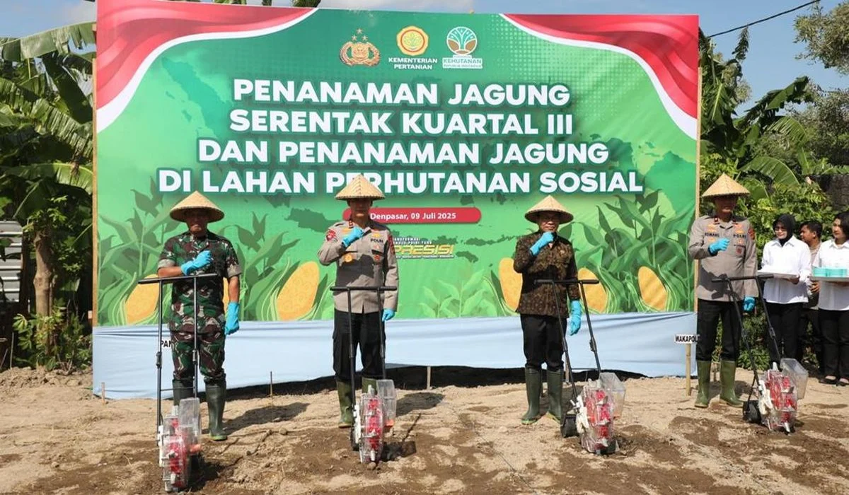 Momen-Kapolda-Bali-Menanam-Jagung-di-Asrama-Polisi-Abian-Timbul-Denpasar