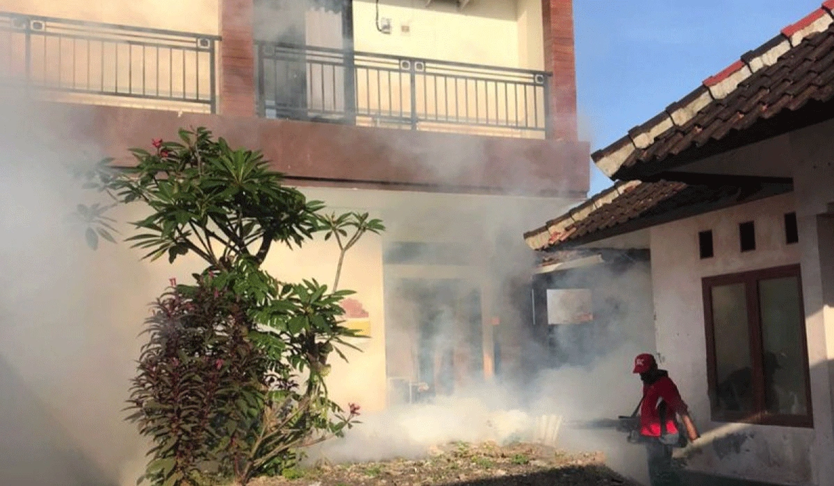 Pemkot-Denpasar-Fogging-di-39-Titik-Tekan-Kasus-DBD