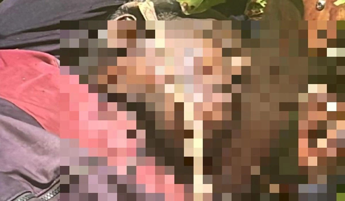 Polisi Selidiki Kematian Mandor Proyek Gianyar, Ada Indikasi Kekerasan